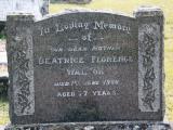 image of grave number 659701